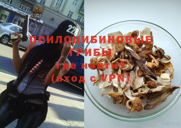 мяу мяу мука Белокуриха