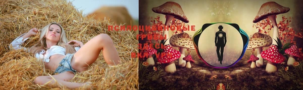 амфетамин Балабаново